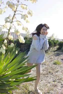 時(shí)光之末