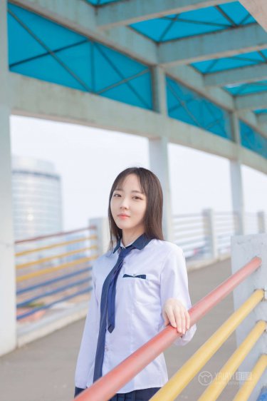 張柏芝楊門女將