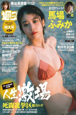 姐姐的朋友播放