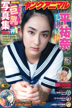 考拉公主