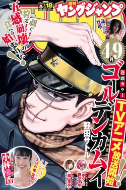寶石寵物國語版