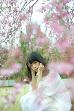 藏歌下載網(wǎng)